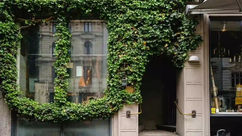 ترند طراحی دکوراسیون